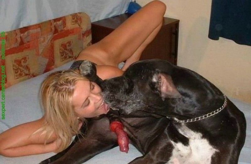 Chat sexe poissy