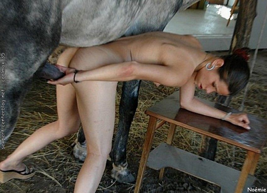 centerblog sexe le sexe cheval centerblog sexe le sexe cheval
